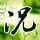经典传奇